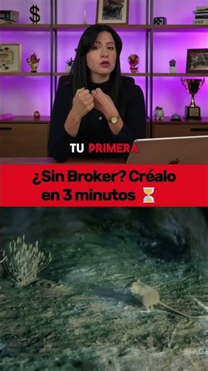 Crea tu cuenta Bróker fácil y rápido 📈 #tradestarsacademy #tradestars #trading #inversiones