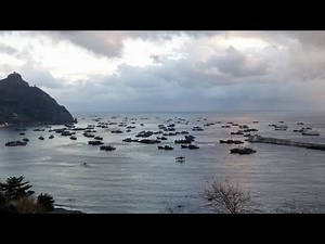 The Outlaw Ocean: World's Largest Illegal Fleet