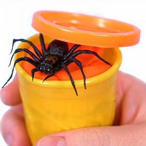 6.8K views · 84 reactions | Spider In Play Doh!  | JesseAndMike | Facebook