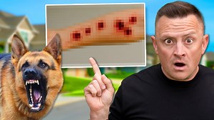 517K views · 7.9K reactions | In this video, an aggressive German...