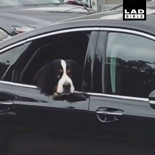 'Well... One of us needs to go home and change...' 😂 | LADbible