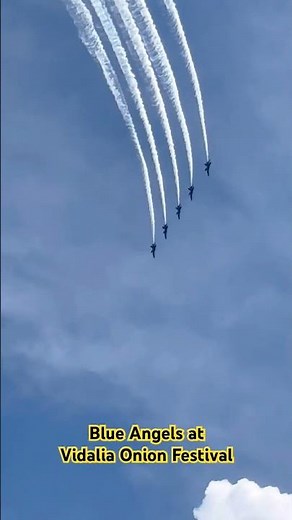 Blue Angels at Vidalia Onion Festival #navy #vidaliaonionfestival2026 #airshow