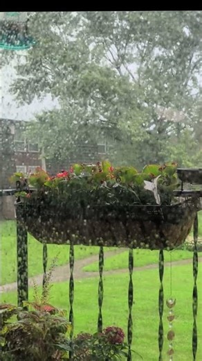 Rainwater Drops on Porch Short of Relaxing Natural White Noise