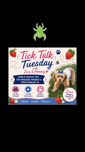 Tick Talk Tuesday – Part 1 🍓🐾 Hi Wagging Friends! Today, Ziva and I are kicking off our very first Tick Talk Tuesday with a few tick awareness tips for both pets and people. While most tick bites do not result in illness, prevention and awareness are important. ➡️ Part 2 coming soon: Protecting your dog, your family, and where to check for ticks. #tick #familysafety #petsafety #FYP #dogparents