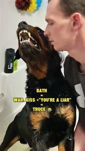 Bath time? RUN! 🏃‍♂️💦 #fyp #Dog #funny #DogBath #viral