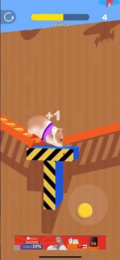Hamster Maze Game Lv.5
