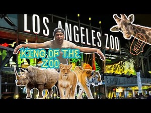 Exploring the Los Angeles Zoo! Hidden Gems & Best Attractions