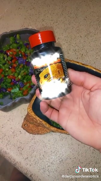 Fancy Bearded Dragon Salad Recipe Guide