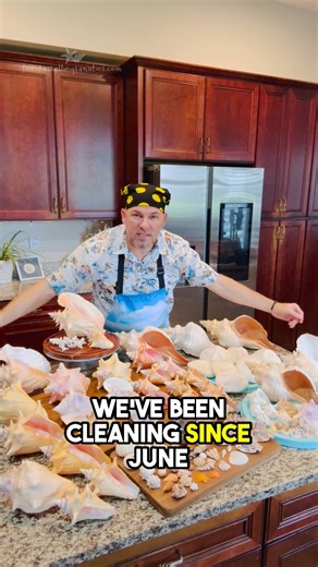 When your kitchen turns into a mini seashell museum… 🐚😂 Florida Keys edition with Shell Camp Florida! 🌴 Join me (Rob) as we take a look at these amazing shells! | Florida Shelling Fanatics