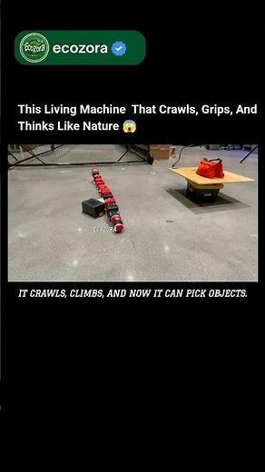 The Snake Robot That Moves Like Life Itself 🐍 #robotics #innovation #futuretech #ai