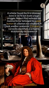 10K views · 118 reactions | The first dinosaur bone ever found was mistaken for the bone of a giant human for almost 150 years. #history #discovery #archaeology #ancienthistory | Knowledge | Facebook