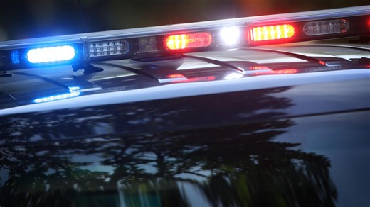 Man charged with damaging equipment at Shedd Institute