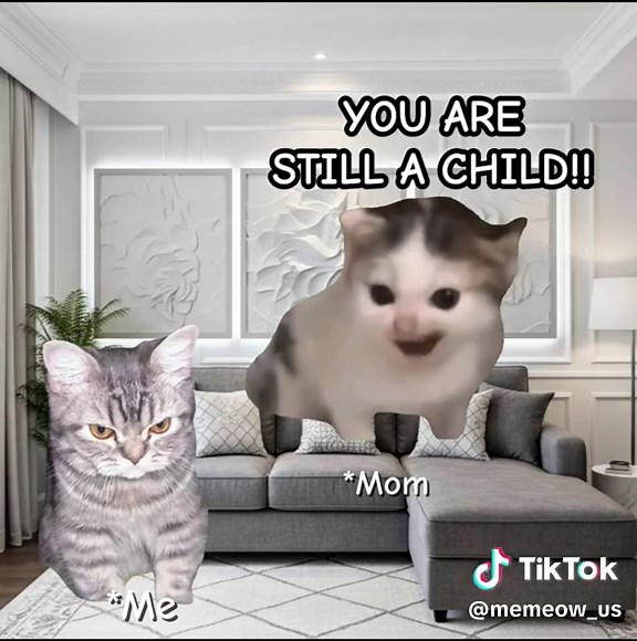 MEMEOW (@memeow_us)’s videos with original sound - MEMEOW