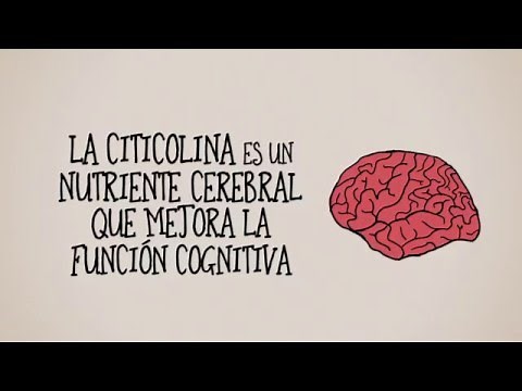 Que es la citicolina