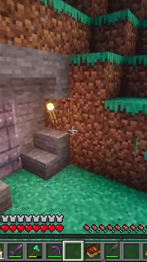 Heartfelt Tribute to a Beloved Hamster in Minecraft
