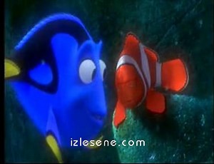 Kayıp Balık Nemo