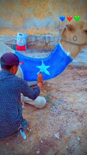 #26june #somaliland #26June #allahu @Amiira qurux🐆