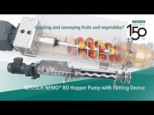 NETZSCH NEMO® BO Hopper Pump for fruits and vegetables processing