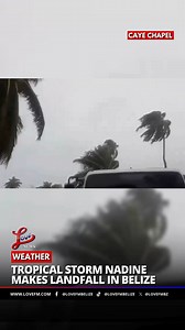 45K views · 665 reactions | One of our followers, Tommy Lee, sent us this footage from Caye Chapel. #Belize #Weather #Storm #TropicalStormNadine #Nadine | Love FM Belize - News and Music Power | Facebook