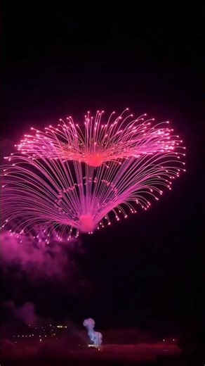 “Red Fireworks Light Up the Night Sky! 🎆✨”