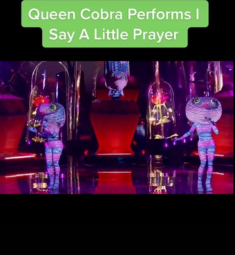 Queen Cobra Sings 'I Say A Little Prayer' on The Masked Singer