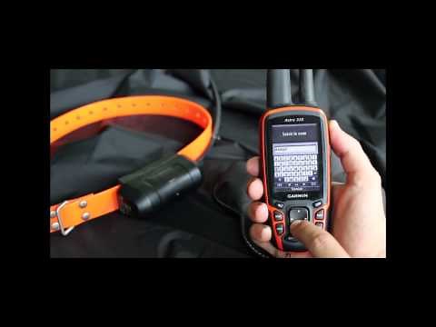 [Tuto] Comment connecter un collier DC 40 au Garmin Astro 320 et ajouter un chien