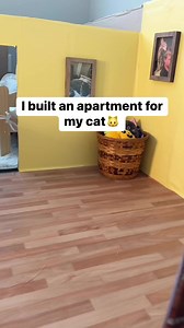 2.4K views · 44 reactions | I built an apartment for my cat #cat #FunnyCats | Themccuen | Facebook