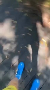 2.5K views · 7K reactions | Watch Out! #reels #reelsinstagram #accident #educational #reaction #funny #trafficlight #bike #fail #viral | Steven Harmon | Facebook