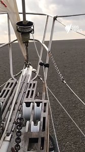 This giant floating pumice island is making its way to Australia, with the possibility of restocking new coral for the Great Barrier Reef. | SBS News