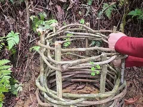 “Surviving a Night in a Cave 😱🔥 | Cave Camping Adventure”