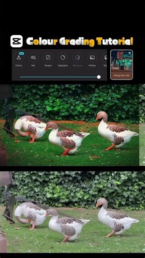 This isn’t just editing this color grading tutorial converts income. Tips from Ahmad_Shadoo