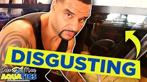 3.5K views · 148 reactions | Finally decided to give the 150 American...