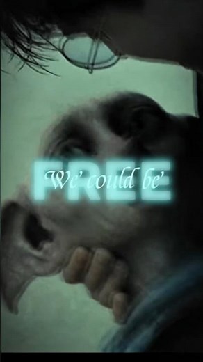 Dobby will always be a free elf! #harrypotter #dobby #dracomalfoy #whydontwe #free