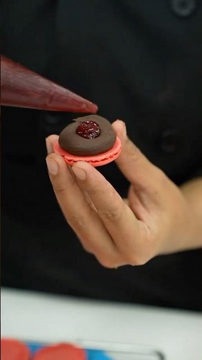 Flavour Idea Macaron: Chocolate Raspberry Macaron Will Blow Your Mind!