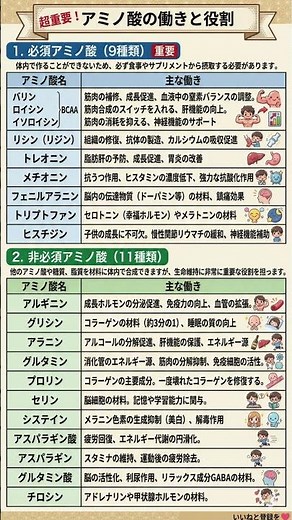 その不調、アミノ酸不足かも？睡眠・メンタル・美肌を整える「20の天然サプリ」正体判明｜仕事も美容も最大化するアミノ酸活用術