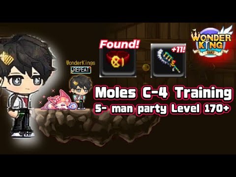 [GLOBAL] WonderKing Online: Berserker Training Level 170! c-4 Moles 5-man PARTY!