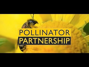 Pollinator Partnership - About Us