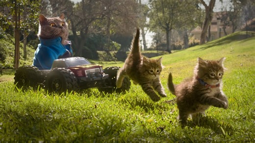 High-speed cat chase stuns in insane thrilling sequel