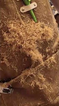 How I Built a Simple Wooden Bench (No Commentary, Just Build #woodworking #diy #furniture