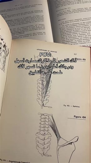 اسم التطبيق aistote #aistote #study #aiquizz #الشعب_الصيني_ماله_حل😂😂 #fyp