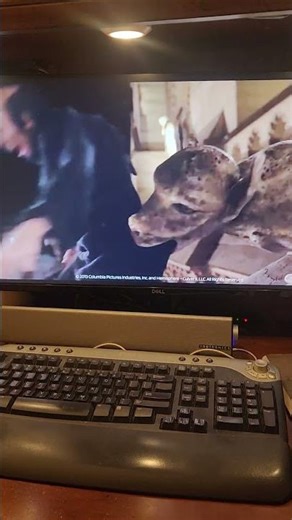 The Smurfs 2 - Gargamel scream like girl scene