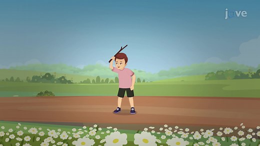 Video: Piaget's Stage 2 of Cognitive Development