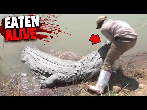 This ALBINO Crocodile Eats Fisherman Alive In Front of His Wife!