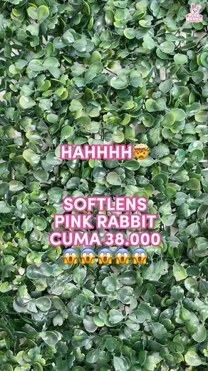 Diskon Softlens Pink Rabbit Mulai Dari 38.000, Buruan Dapatkan!