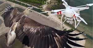 9 Things People Did With Drones That Will Make You Want One Too