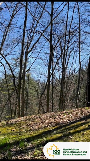 4.7K views · 43 reactions | ️ Group camping is now open for the...