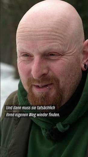Eine Ente auswildern #ndr #doku #tiere #enten