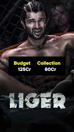 Director Puri Jagannadh all movies budget & collection part 2