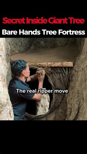 Secret Inside Giant TreeBare Hands Tree Fortress