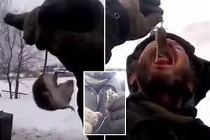 Shocking moment 'Russian' man eats a live MOUSE after dangling it down his throat by the tail